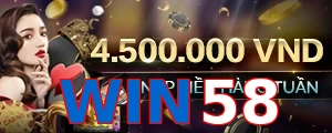 WIN58